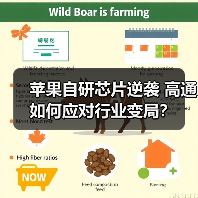 苹果自研芯片逆袭 高通如何应对行业变局?(图4) 苹果自研芯片逆袭 高通如何应对行业变局?(图4)