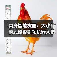 具身智能发展:大小脑模式能否引领机器人技术突破?(图2) 具身智能发展:大小脑模式能否引领机器人技术突破?(图2)