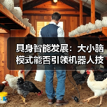 具身智能发展:大小脑模式能否引领机器人技术突破?(图3) 具身智能发展:大小脑模式能否引领机器人技术突破?(图3)
