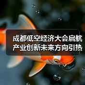 成都低空经济大会启航 产业创新未来方向引热议(图2) 成都低空经济大会启航 产业创新未来方向引热议(图2)