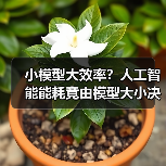 嵌入式AI如何解决能源危机？工业应用的节能新方向