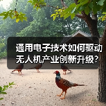 通用电子技术如何驱动无人机产业创新升级?(图3) 通用电子技术如何驱动无人机产业创新升级?(图3)