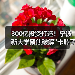 300亿投资打造!宁波新大学聚焦破解 300亿投资打造!宁波新大学聚焦破解