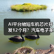 AI平台缩短车机芯片开发12个月?汽车电子革新方案解析(图3) AI平台缩短车机芯片开发12个月?汽车电子革新方案解析(图3)