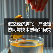 低空经济腾飞:产业链协同与技术创新如何突破?(图1) 低空经济腾飞:产业链协同与技术创新如何突破?(图1)