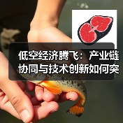 低空经济腾飞:产业链协同与技术创新如何突破?(图3) 低空经济腾飞:产业链协同与技术创新如何突破?(图3)