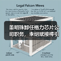 董明珠卸任格力芯片公司职务,李绍斌接棒引关注(图2) 董明珠卸任格力芯片公司职务,李绍斌接棒引关注(图2)