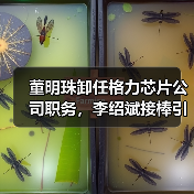 董明珠卸任格力芯片公司职务,李绍斌接棒引关注(图1) 董明珠卸任格力芯片公司职务,李绍斌接棒引关注(图1)
