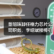 董明珠卸任格力芯片公司职务,李绍斌接棒引关注(图4) 董明珠卸任格力芯片公司职务,李绍斌接棒引关注(图4)
