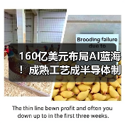 160亿美元布局AI蓝海！成熟工艺成半导体制程核心（图1）