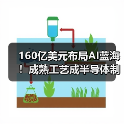 160亿美元布局AI蓝海！成熟工艺成半导体制程核心（图3）