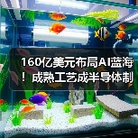 160亿美元布局AI蓝海！成熟工艺成半导体制程核心（图4）