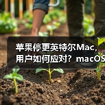 苹果Mac英特尔支持终结，未来只兼容Apple Silico