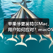 苹果停更英特尔Mac,用户如何应对?macOS 26成终点站(图3) 苹果停更英特尔Mac,用户如何应对?macOS 26成终点站(图3)