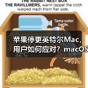 苹果停更英特尔Mac,用户如何应对?macOS 26成终点站(图4) 苹果停更英特尔Mac,用户如何应对?macOS 26成终点站(图4)