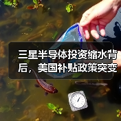 三星半导体投资缩水背后,美国补贴政策突变引热议(图3) 三星半导体投资缩水背后,美国补贴政策突变引热议(图3)