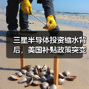 三星半导体投资缩水背后,美国补贴政策突变引热议(图4) 三星半导体投资缩水背后,美国补贴政策突变引热议(图4)