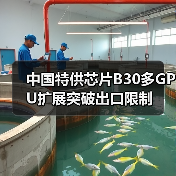 中国特供芯片B30多GPU扩展突破出口限制（图2）