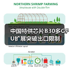 中国特供芯片B30多GPU扩展突破出口限制（图4）