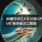 中国特供芯片B30多GPU扩展突破出口限制（图3）