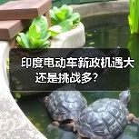 印度电动车新政机遇大还是挑战多?(图2) 印度电动车新政机遇大还是挑战多?(图2)
