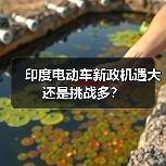 印度电动汽车政策吸引力与挑战：高门槛与基础设施不足的矛盾