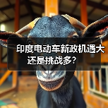 印度电动车新政机遇大还是挑战多?(图3) 印度电动车新政机遇大还是挑战多?(图3)