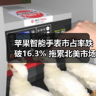苹果智能手表市占率跌破16.3% 拖累北美市场？（图3）