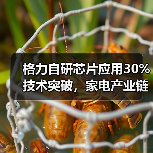 格力自研芯片应用30%技术突破,家电产业链将如何变革?(图3) 格力自研芯片应用30%技术突破,家电产业链将如何变革?(图3)