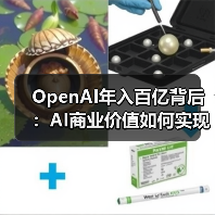 OpenAI年入百亿背后：AI商业价值如何实现？（图4）