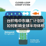 台积电中东建厂计划将如何影响全球半导体格局?(图4) 台积电中东建厂计划将如何影响全球半导体格局?(图4)