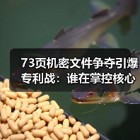 美光阻长江存储技术获取引争议 专利战升级影响芯片格局