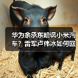华为余承东暗讽小米汽车？雷军卢伟冰如何回应？（图2）