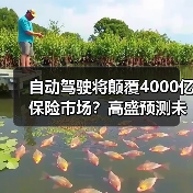 自动驾驶商业化冲击保险市场，行业面临哪些变革？