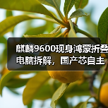 华为折叠屏电脑拆解：国产芯片替代与鸿蒙生态突破
