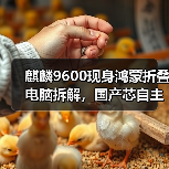 麒麟9600现身鸿蒙折叠电脑拆解，国产芯自主可控新高度（图3）