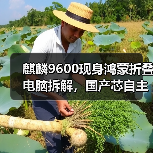 麒麟9600现身鸿蒙折叠电脑拆解，国产芯自主可控新高度（图4）