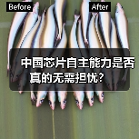 中国芯片自主能力是否真的无需担忧?(图2) 中国芯片自主能力是否真的无需担忧?(图2)
