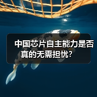 中国芯片自主能力是否真的无需担忧?(图3) 中国芯片自主能力是否真的无需担忧?(图3)