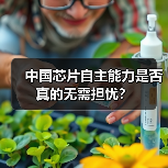 中国芯片自主能力是否真的无需担忧?(图4) 中国芯片自主能力是否真的无需担忧?(图4)
