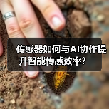 传感器如何与AI协作提升智能传感效率？（图3）