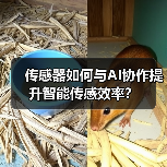 传感器如何与AI协作提升智能传感效率？（图4）