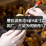 恩智浦关闭4家8英寸晶圆厂,产能为何转向12英寸?(图3) 恩智浦关闭4家8英寸晶圆厂,产能为何转向12英寸?(图3)