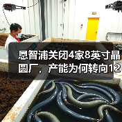 恩智浦关闭4家8英寸晶圆厂,产能为何转向12英寸?(图4) 恩智浦关闭4家8英寸晶圆厂,产能为何转向12英寸?(图4)