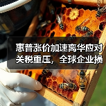 惠普涨价加速离华应对关税重压，全球企业损失持续扩大（图2）