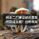 熊本二厂建设延宕塞车问题成主因？台积电如何解决？（图2）