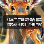 熊本二厂建设延宕塞车问题成主因？台积电如何解决？（图3）