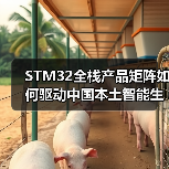 STM32全栈产品矩阵如何驱动中国本土智能生态创新?(图2) STM32全栈产品矩阵如何驱动中国本土智能生态创新?(图2)