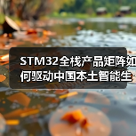 STM32全栈产品矩阵如何驱动中国本土智能生态创新?(图3) STM32全栈产品矩阵如何驱动中国本土智能生态创新?(图3)