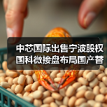 中芯国际出售宁波股权国科微接盘布局国产替代（图3）